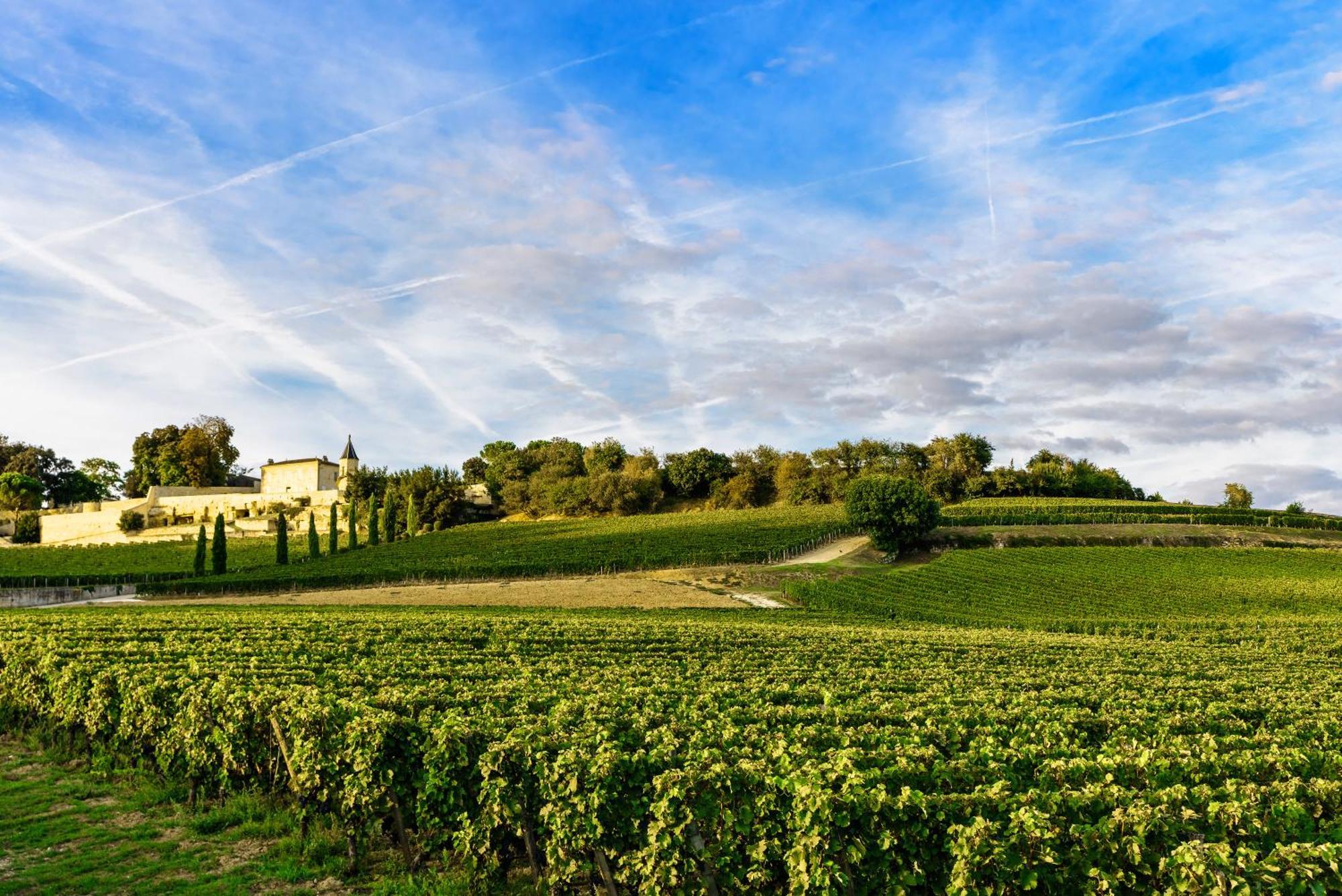 Clos 1906 Saint-Emilion Exterior photo